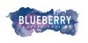 Blueberry Travel Services